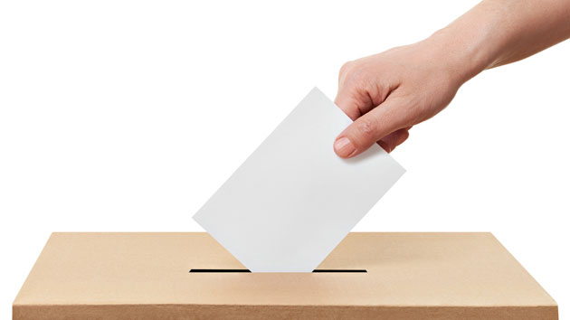 safeguard votes research paper safeguard votes research paper