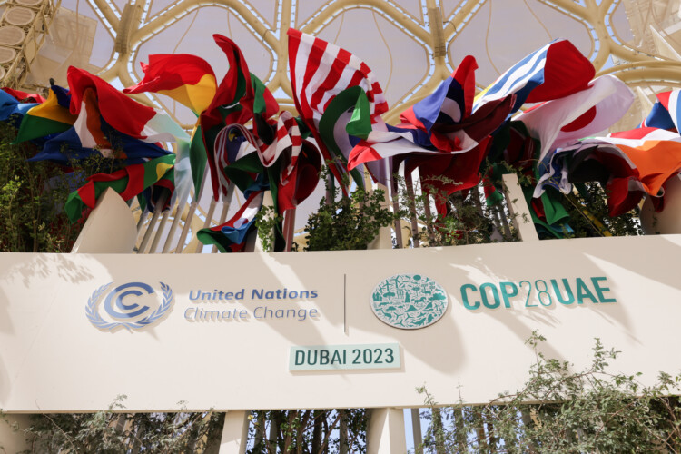 COP28 : 6 Français sur 10 sont pour une sortie progressive des énergies fossiles